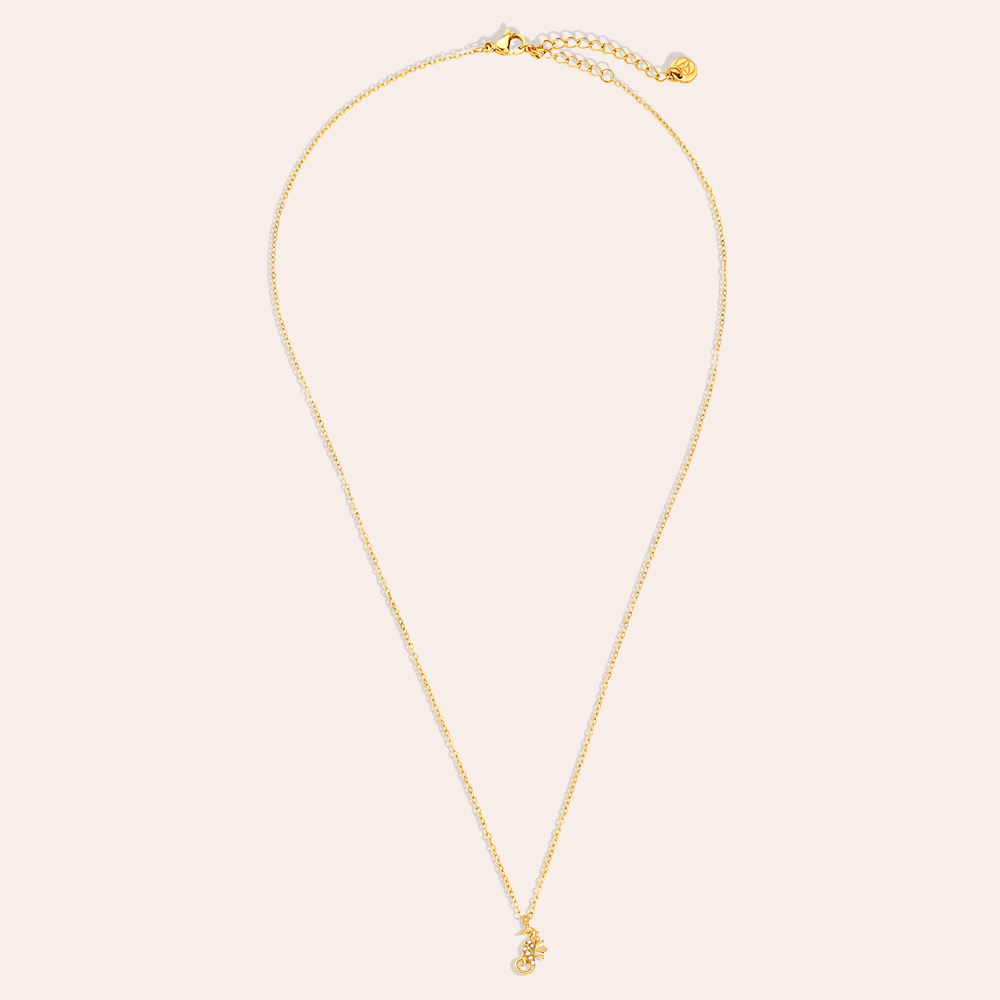 40cm Diamond Sea Horse stainless steel necklace    