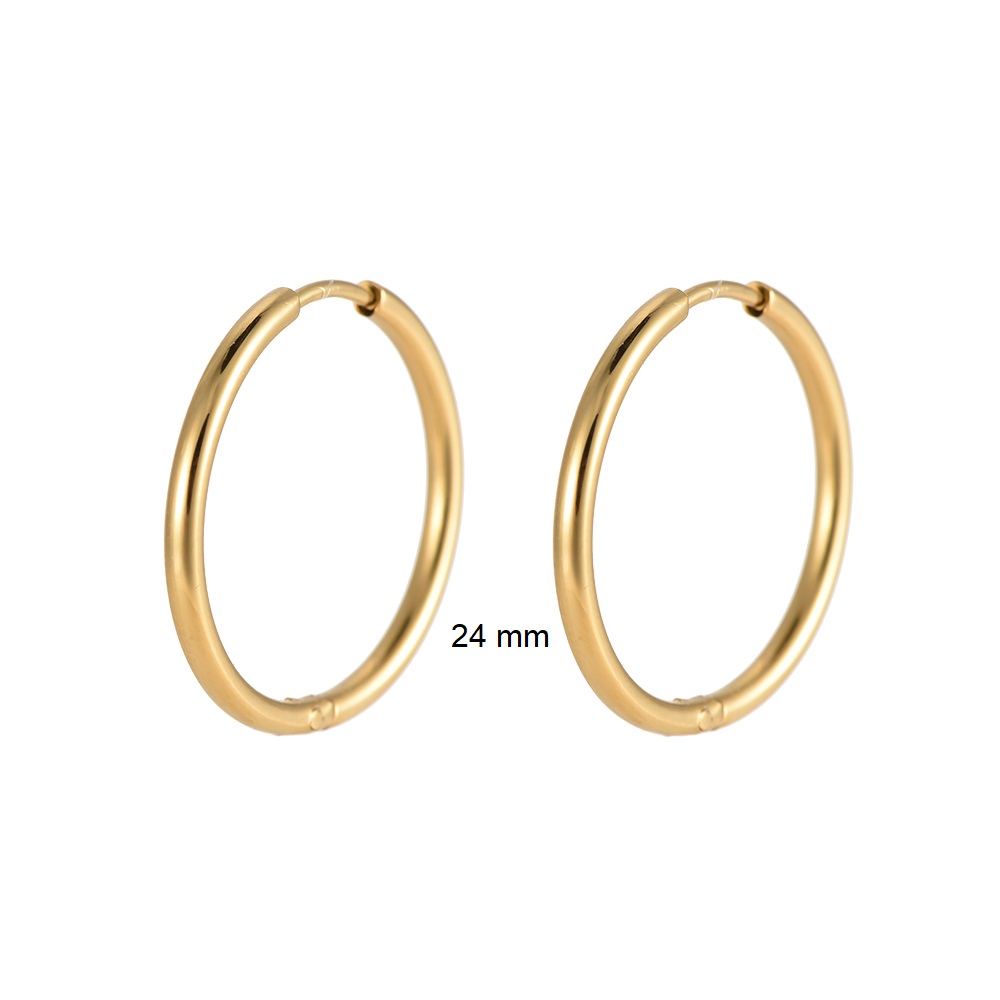 Stainless steel earrings Fine Hoop