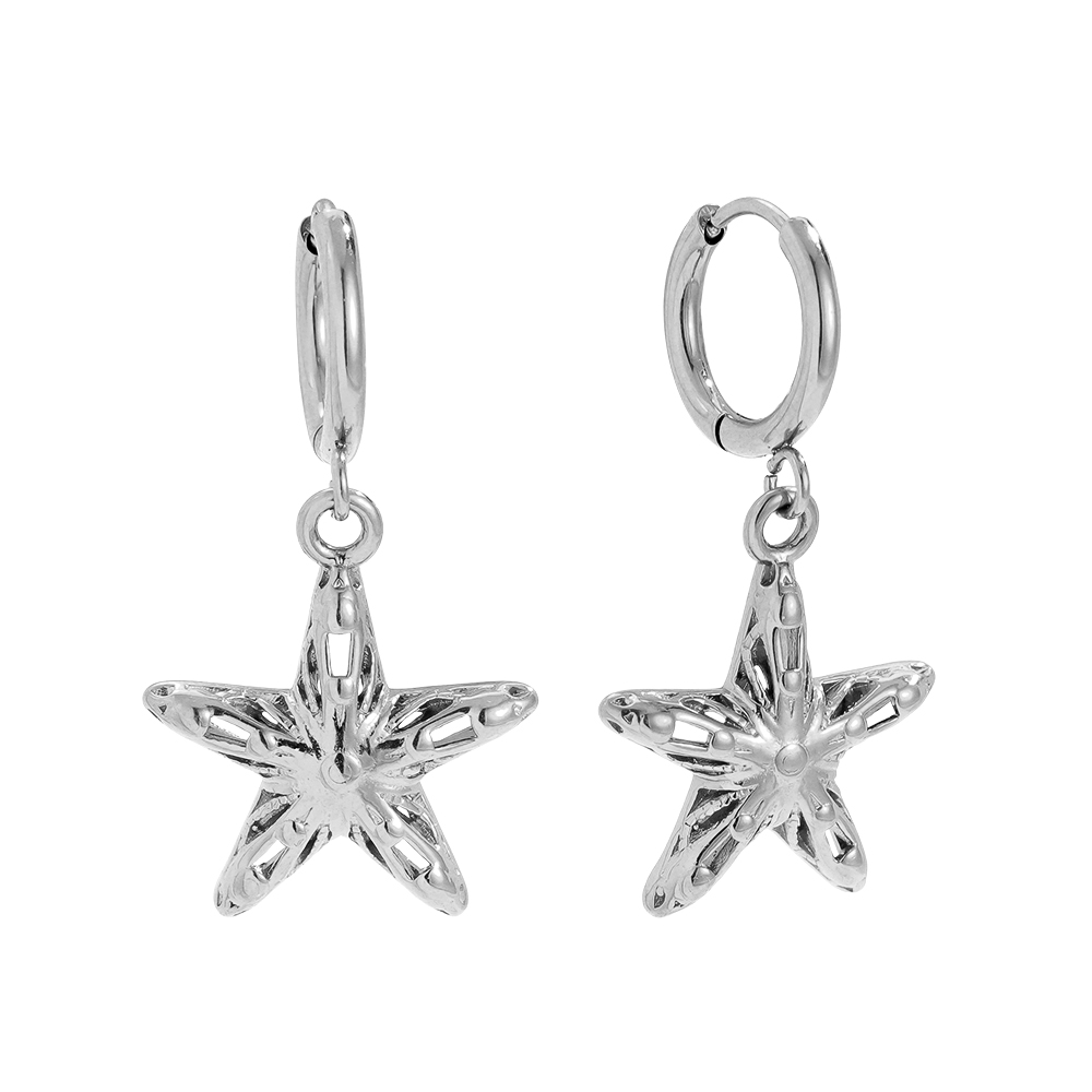 30mm Cool Star stainless steel earrings     
