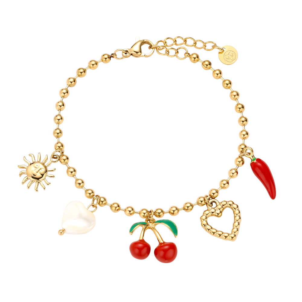 16.5cm Many Nice Charms stainless steel bracelet   