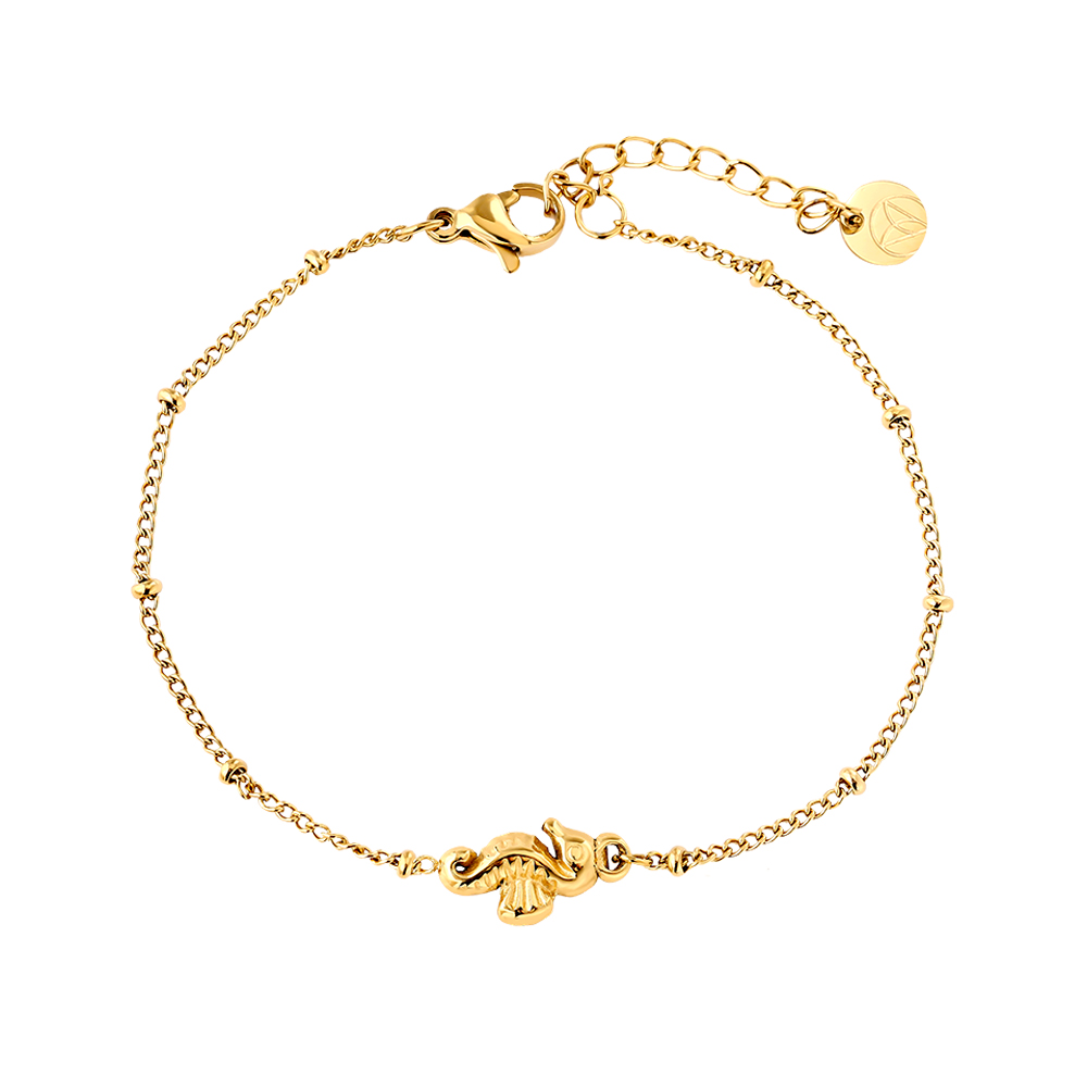 17cm Nice Sea Horse stainless steel bracelet   
