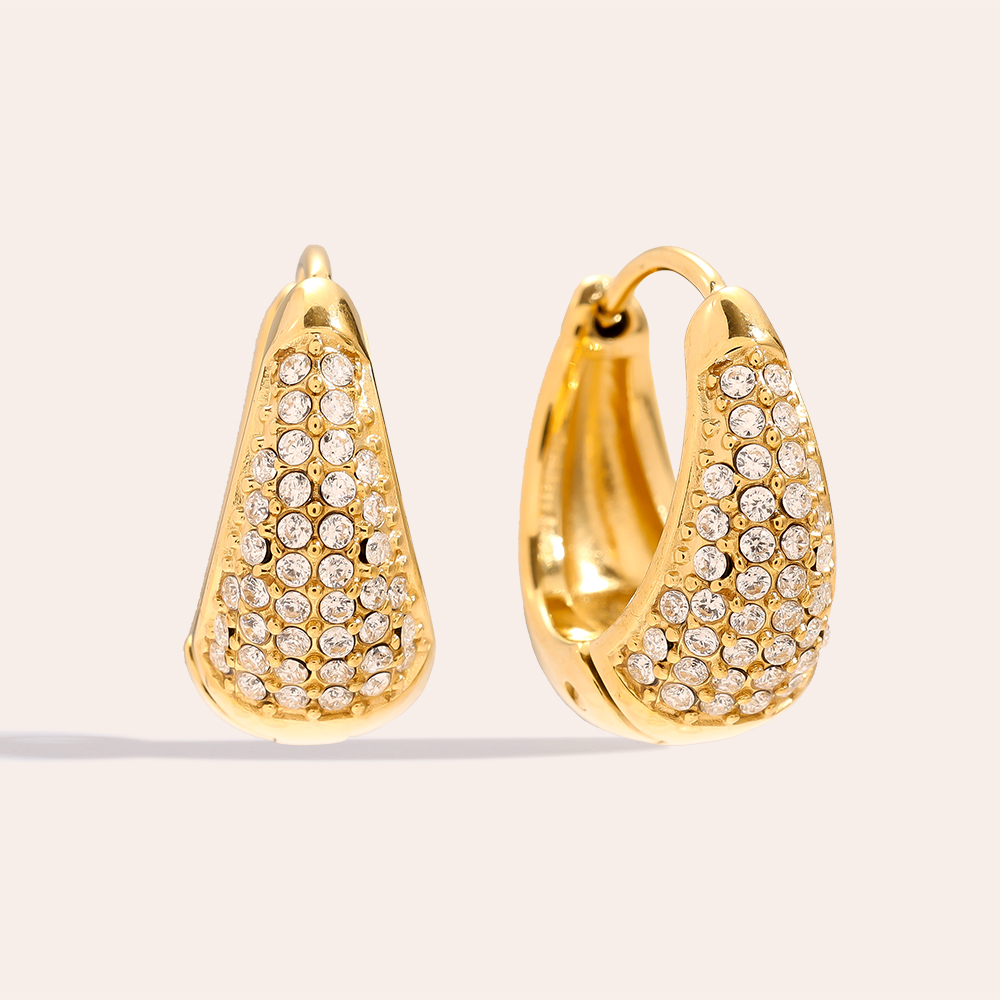 Stainless steel earrings 10mm Diamond Drop Hoop