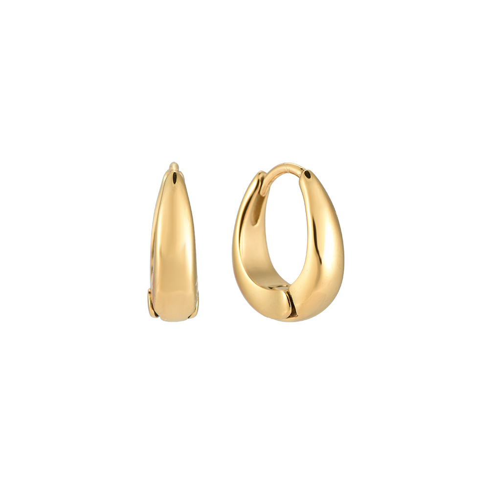 Stainless steel earrings Roland Hoop