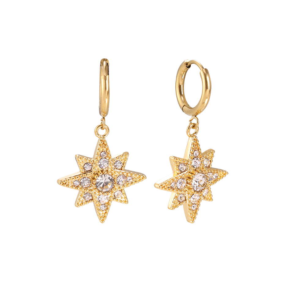 Stainless steel earrings Super Diamond Star