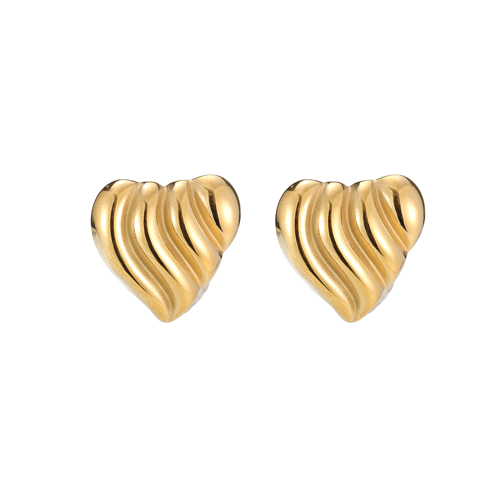 Stainless steel earrings Big Love