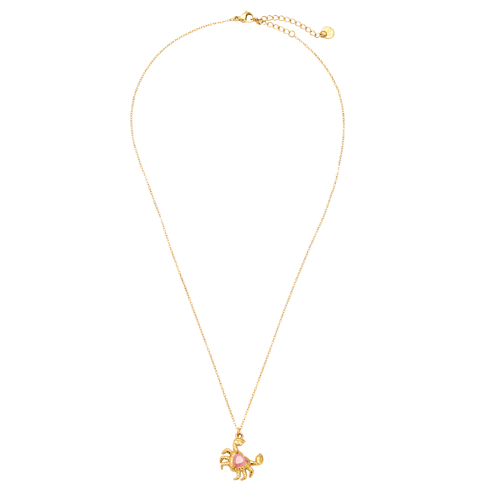 43cm Crab And Diamond Stainless Steel Necklace     