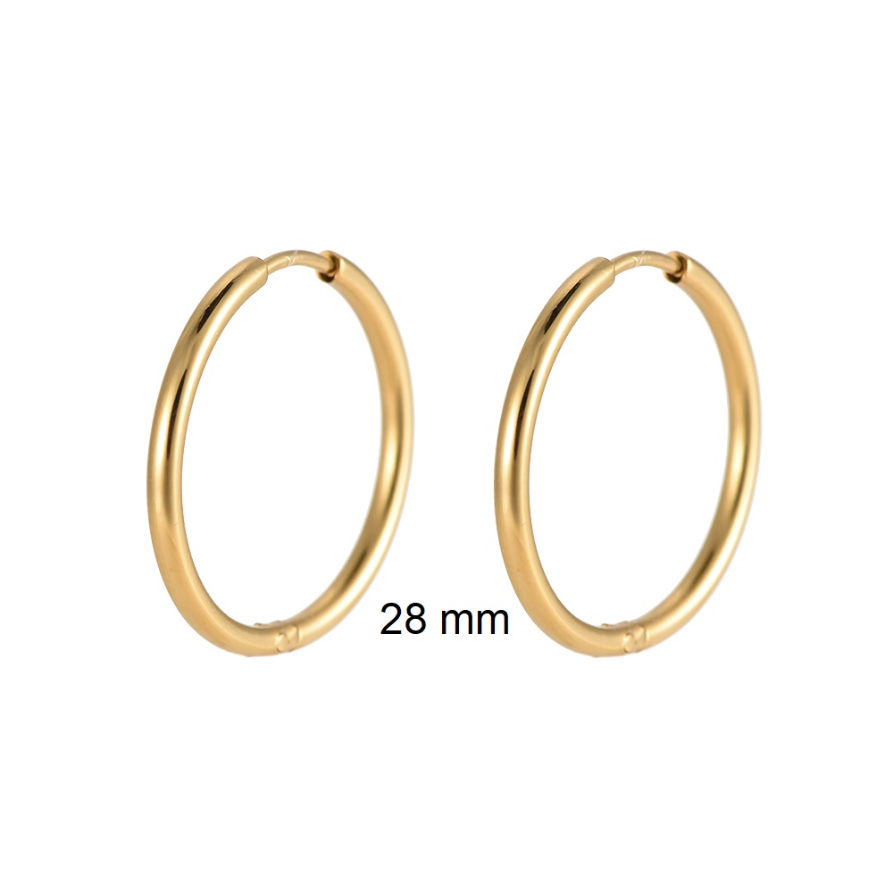 Stainless steel earrings Fine Hoop
