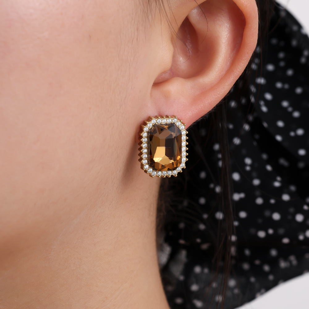 18.9mm Great Brown stainless steel earrings       