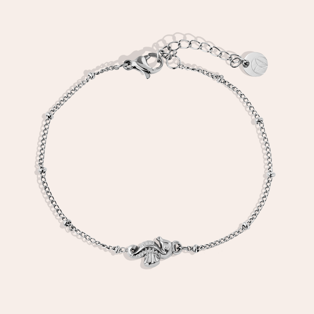 17cm Nice Sea Horse stainless steel bracelet   