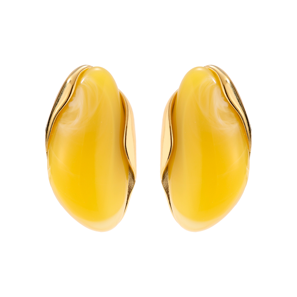 35mm Nice Resin Stainless Steel Earrings   