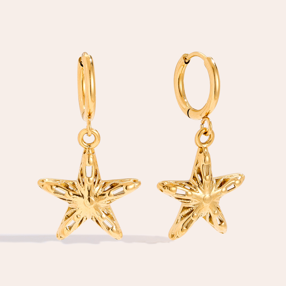 30mm Cool Star stainless steel earrings     