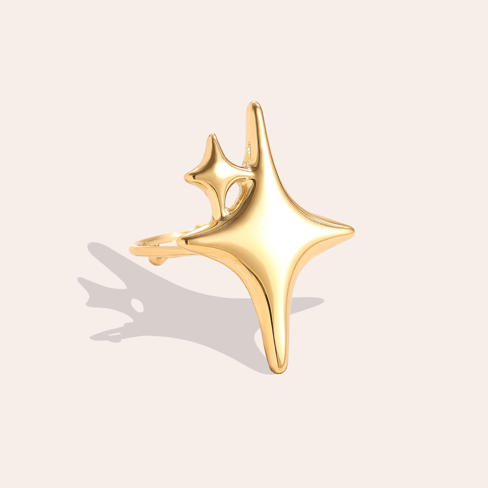 Two Stars stainless steel ring  