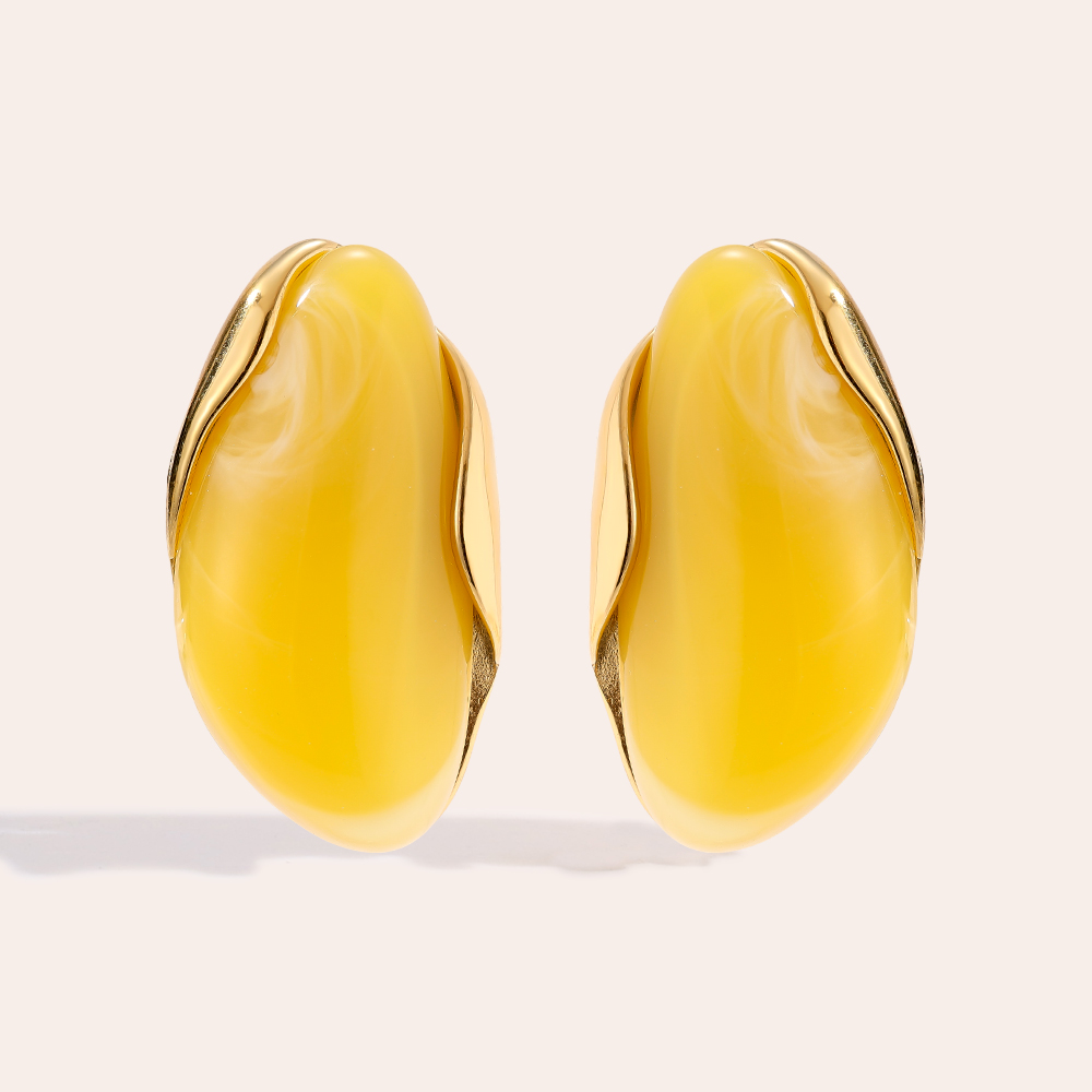 35mm Nice Resin Stainless Steel Earrings   