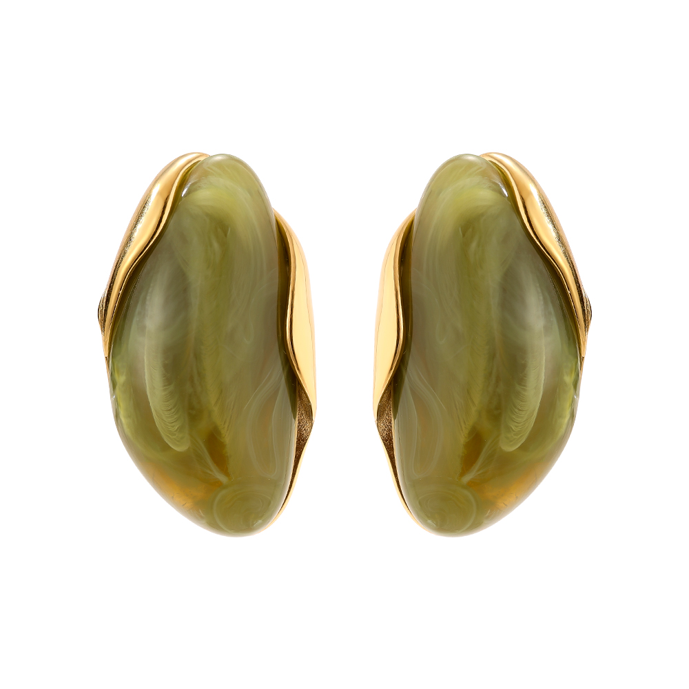 35mm Nice Resin Stainless Steel Earrings   