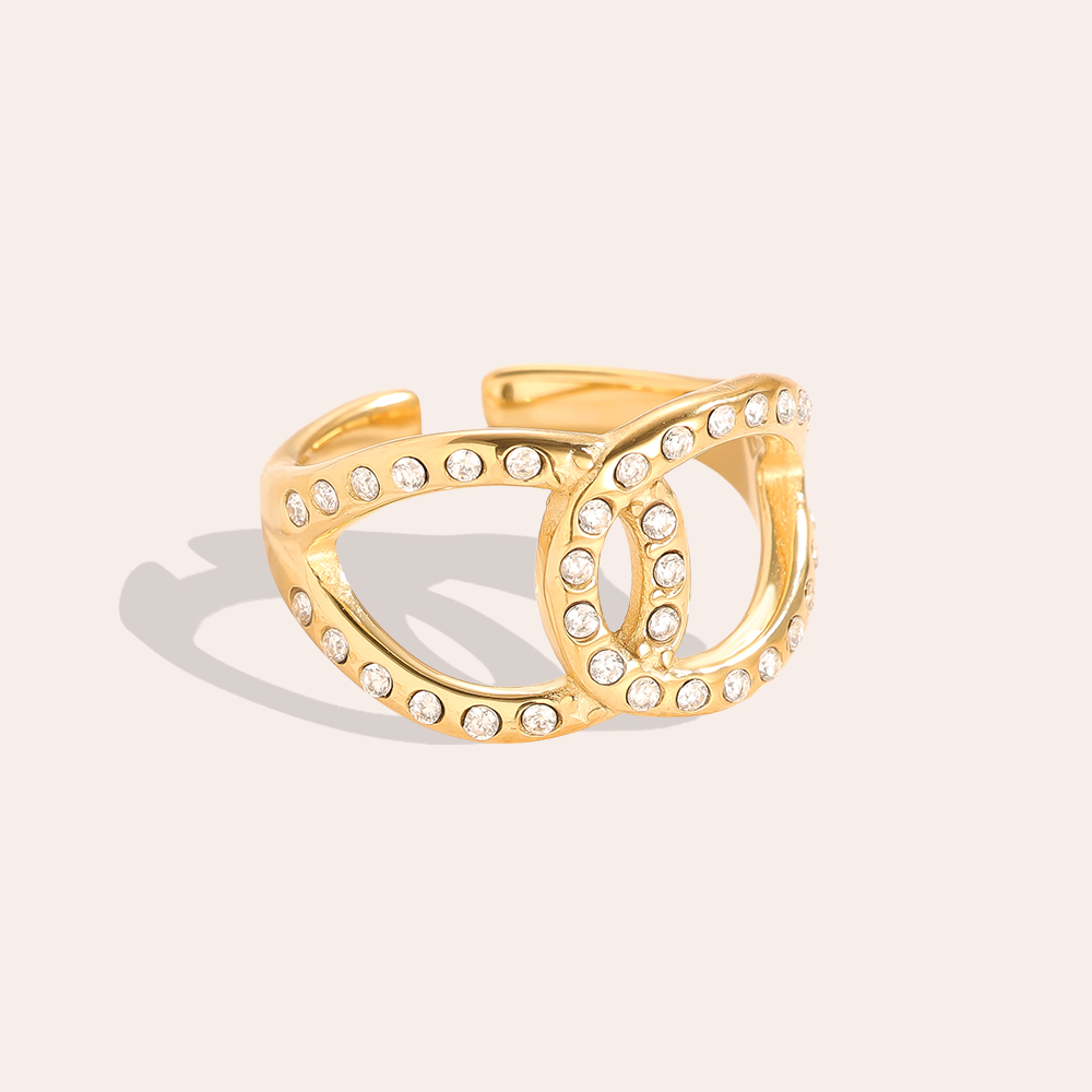 Two Diamond Drop Cycle Stainless Steel Ring    