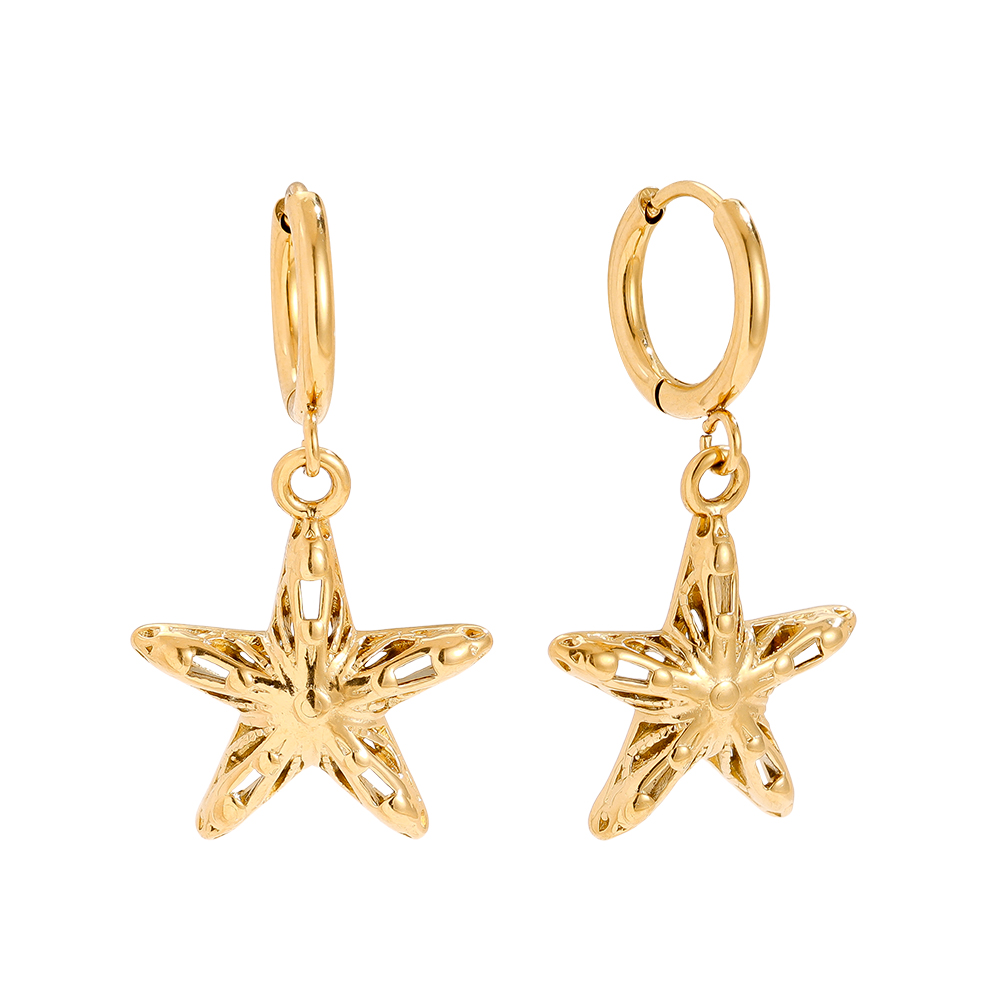 30mm Cool Star stainless steel earrings     