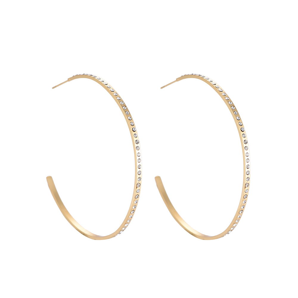 Bestudded Ferris stainless steel stud earrings