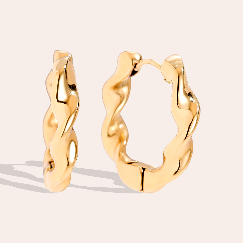 2.5cm Classic Twist Hoop Stainless Steel Earrings      