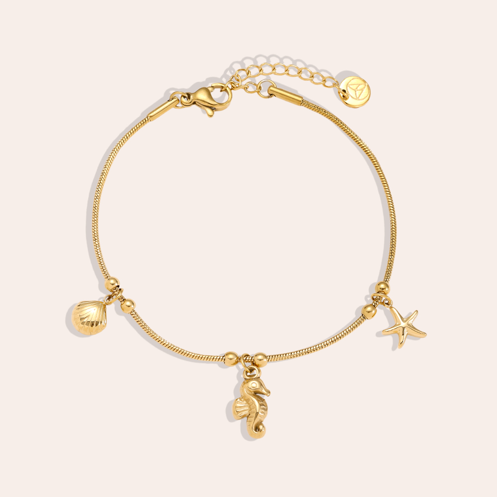 17cm Seehorse Star stainless steel bracelet 