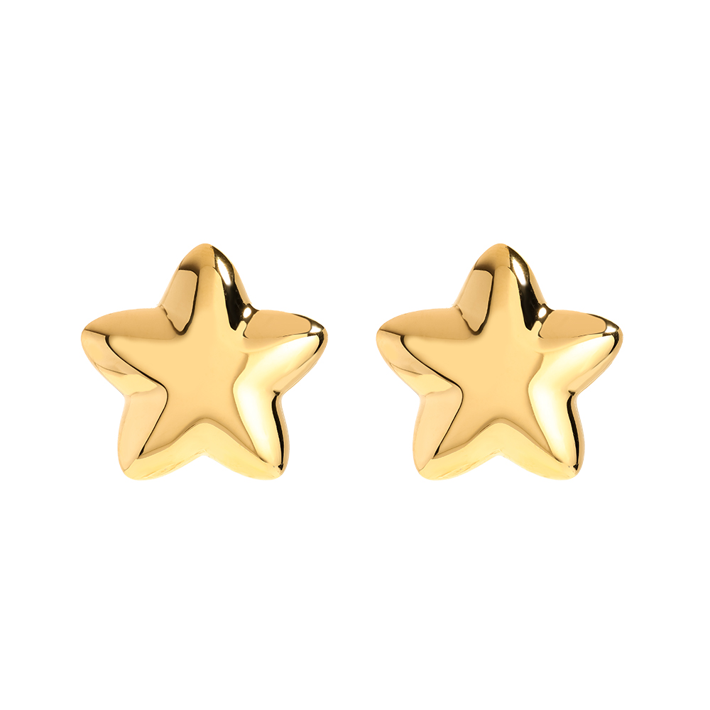 Stainless steel earrings Super Star