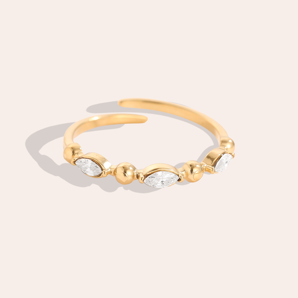 Some Diamonds stainless steel ring    