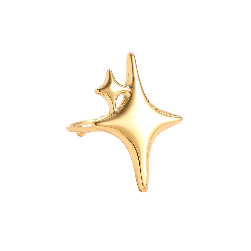 Two Stars stainless steel ring  