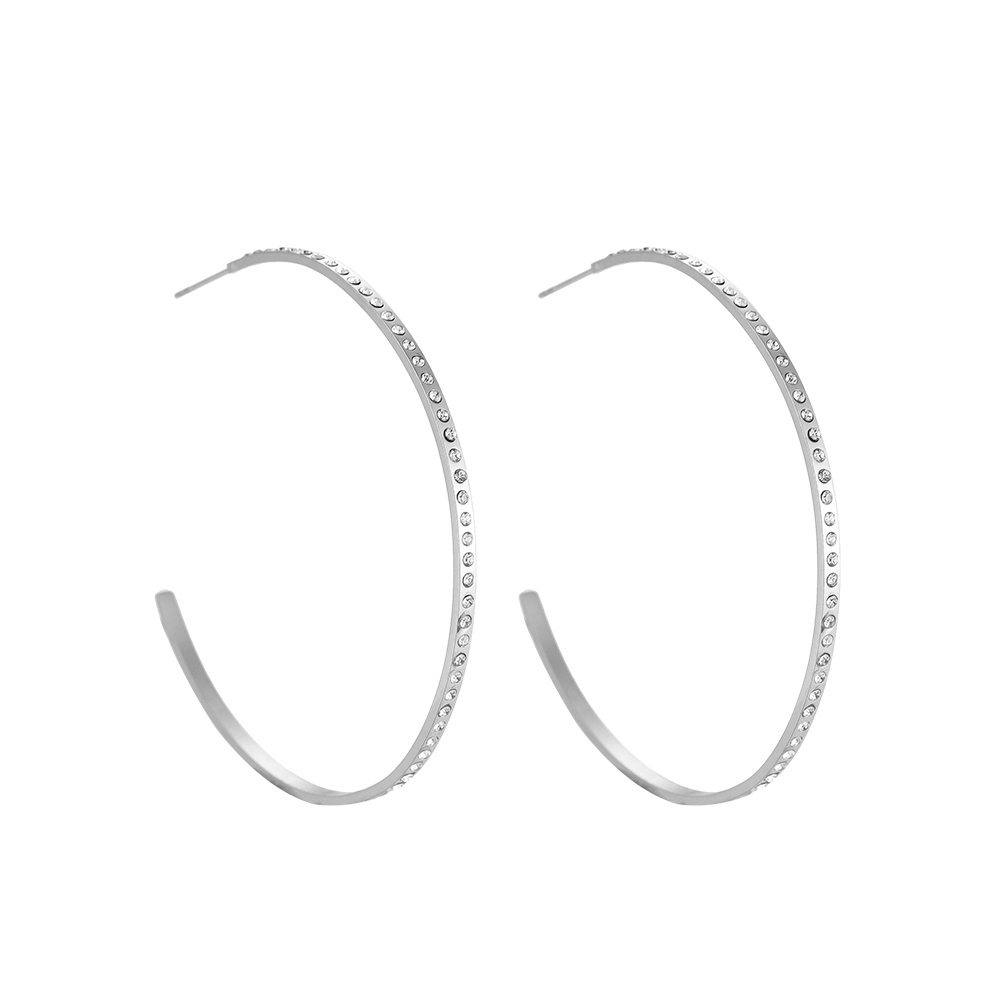 Bestudded Ferris stainless steel stud earrings